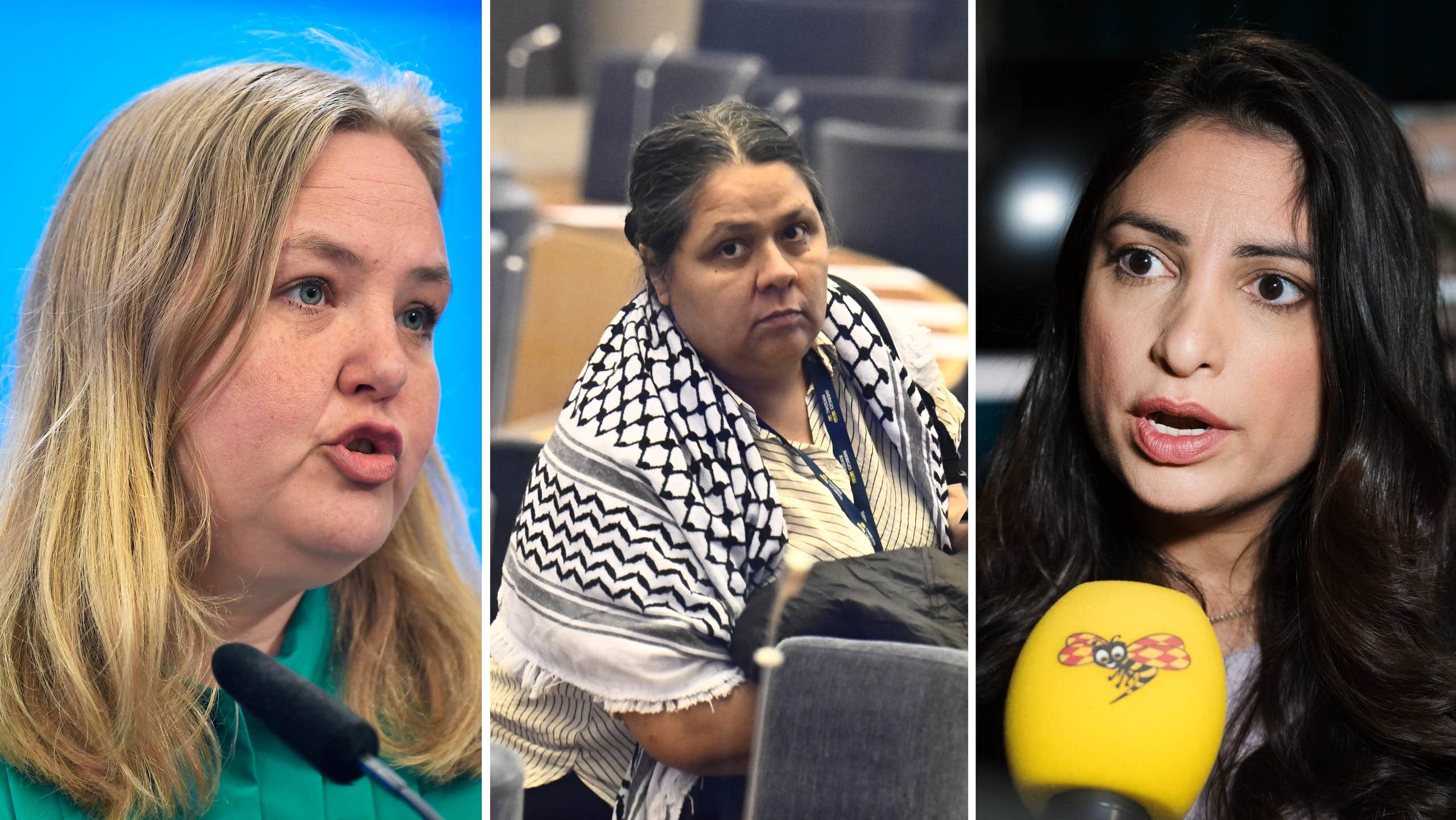 V-topparna oense om Delgados roll i riksdagen